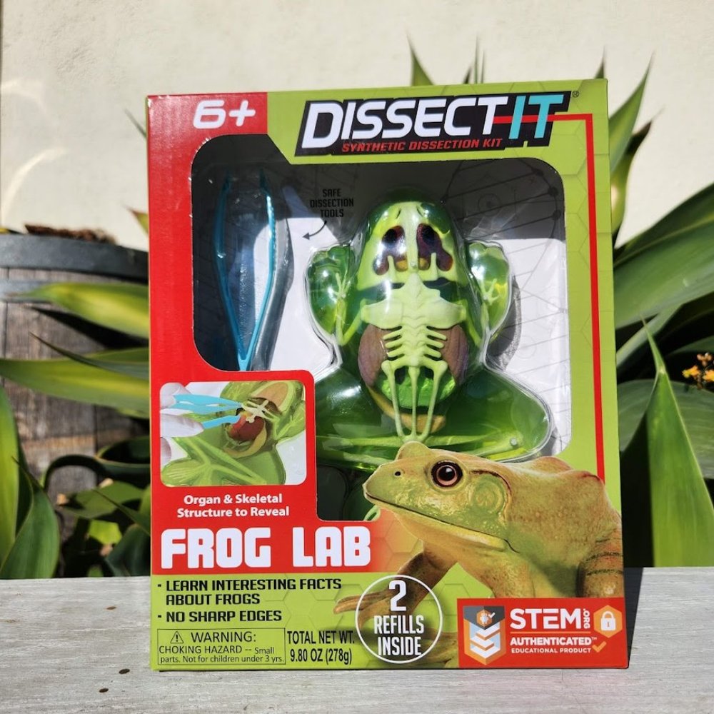 NEW Dissect-it Synthetic Lab Dissection Toy STEM KIT CRAFT Project Frog Biology